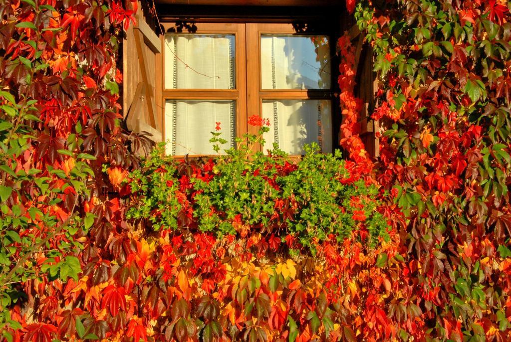 Hotel Selba D'Ansils Benasque Luaran gambar